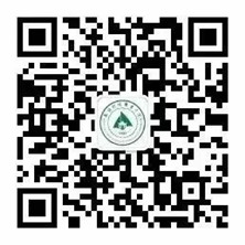 1587695782482184.jpg
